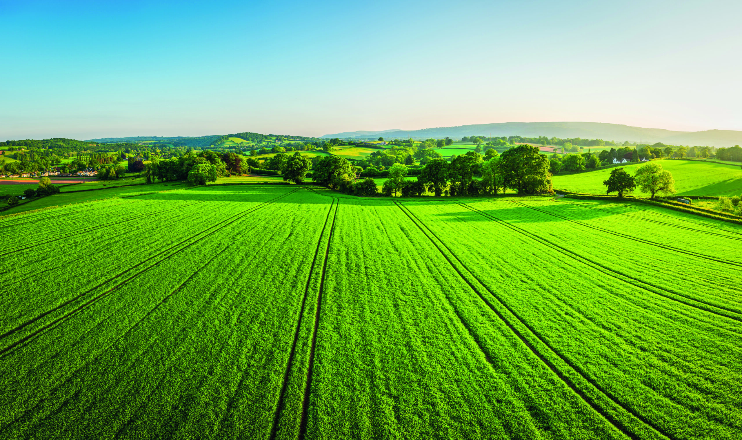 Calcifert Fertilisers and Soil Conditioners