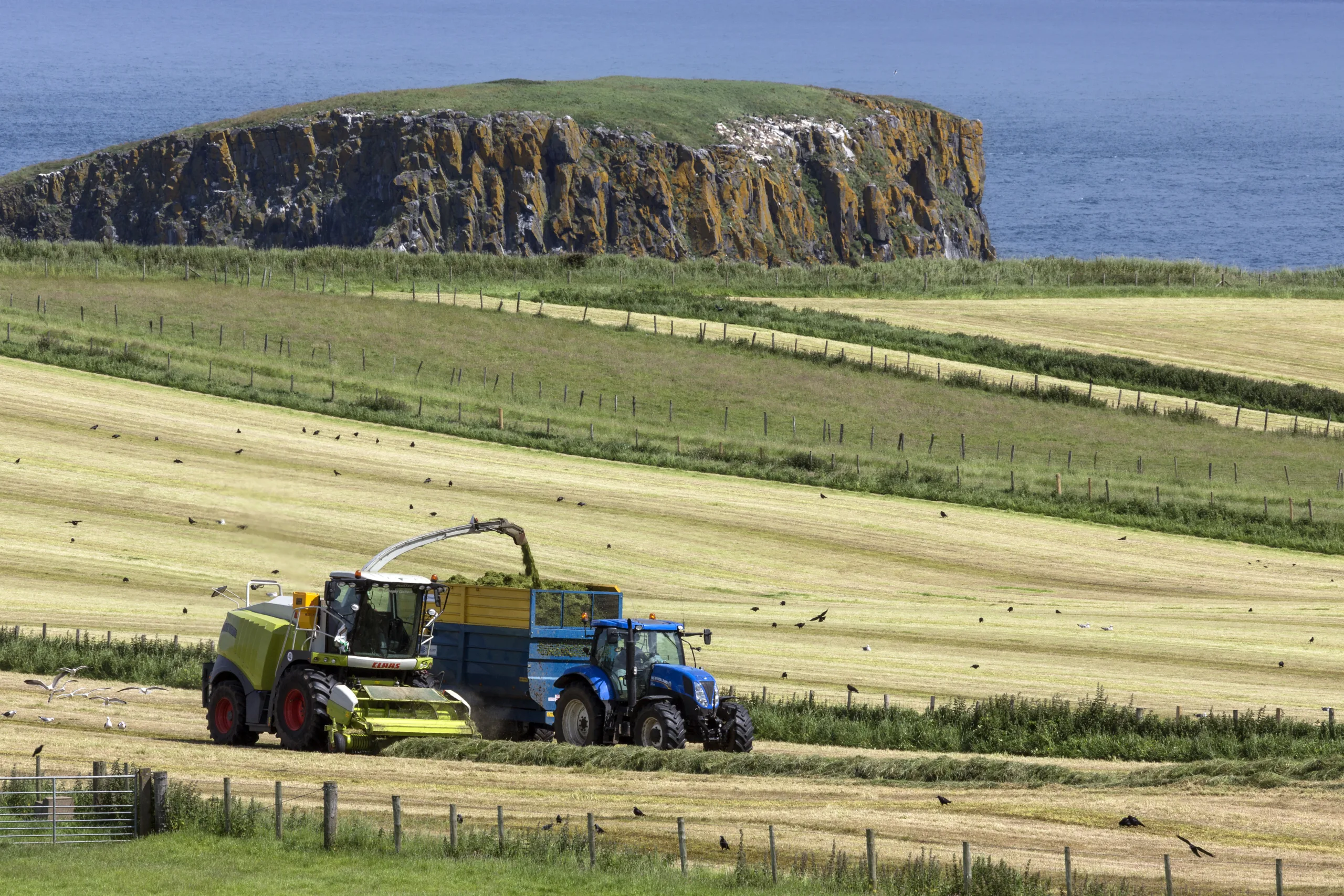 Agriculture - Ballycastle - Northern Ireland