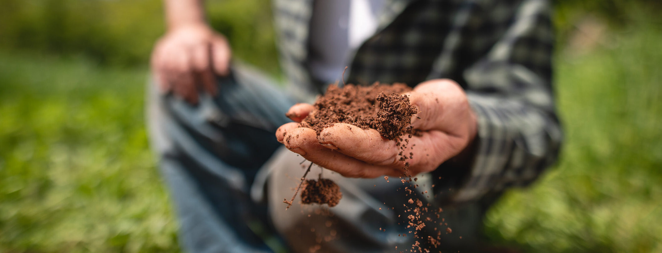 Fertilisers and Soil Conditioners