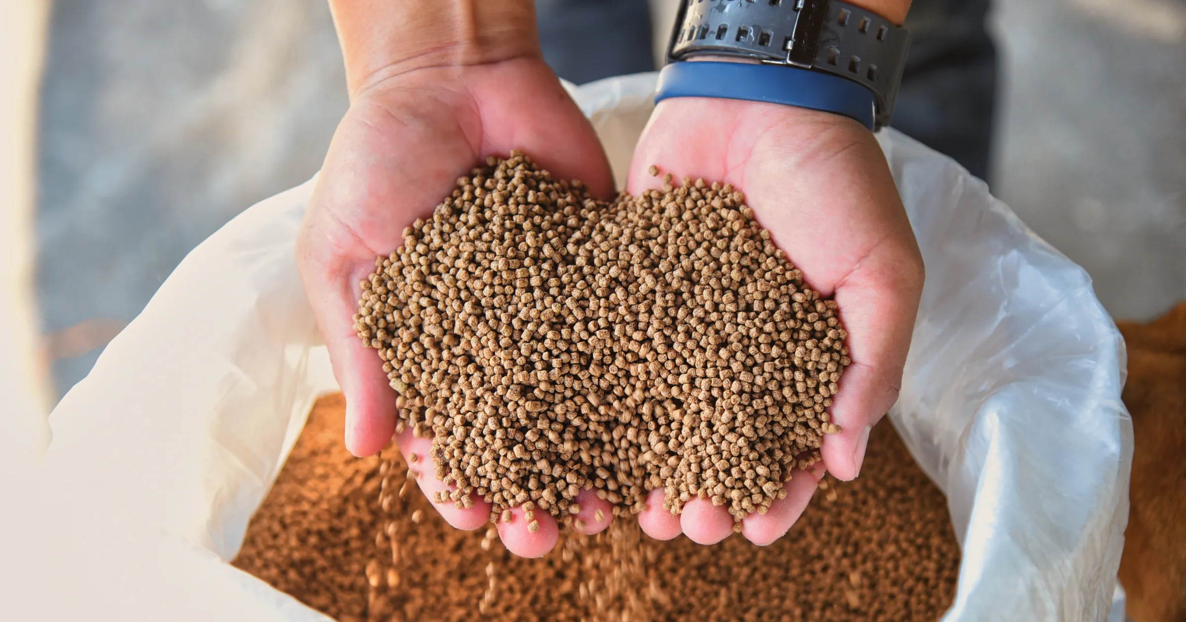 An image showing a person holding animal feed
