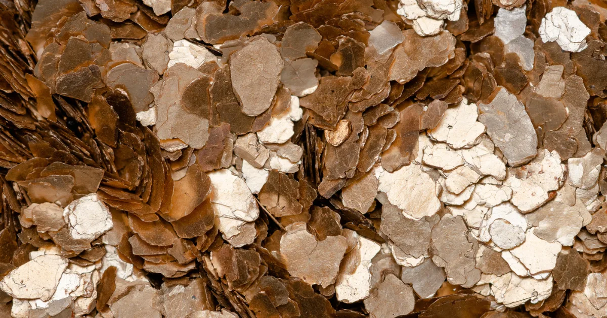 an image showing dekorflake - proving it can enhance concrete aesthetics