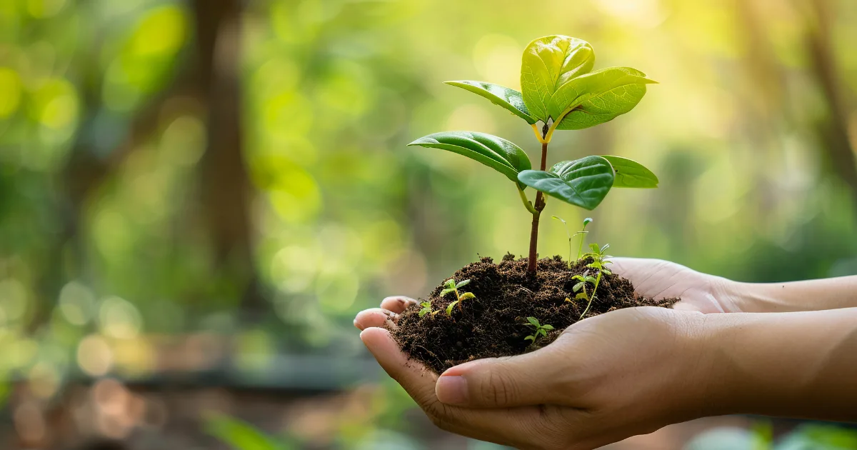 Responsible sourcing recognition by the Responsible Minerals Initiative Process