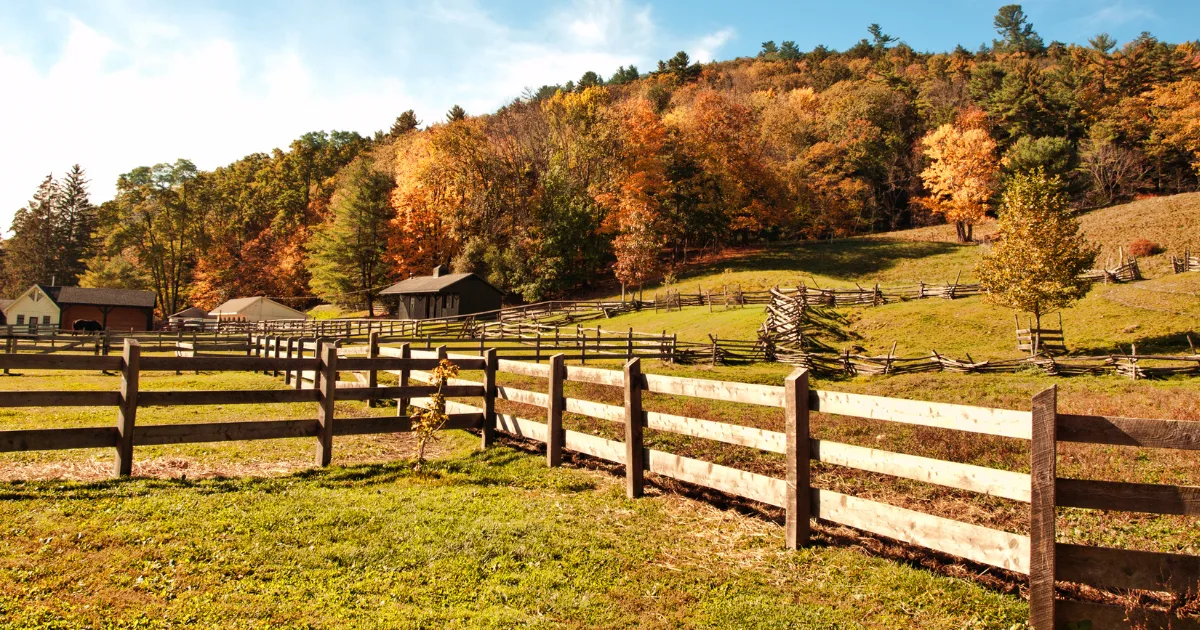 an image showing an autumn farm