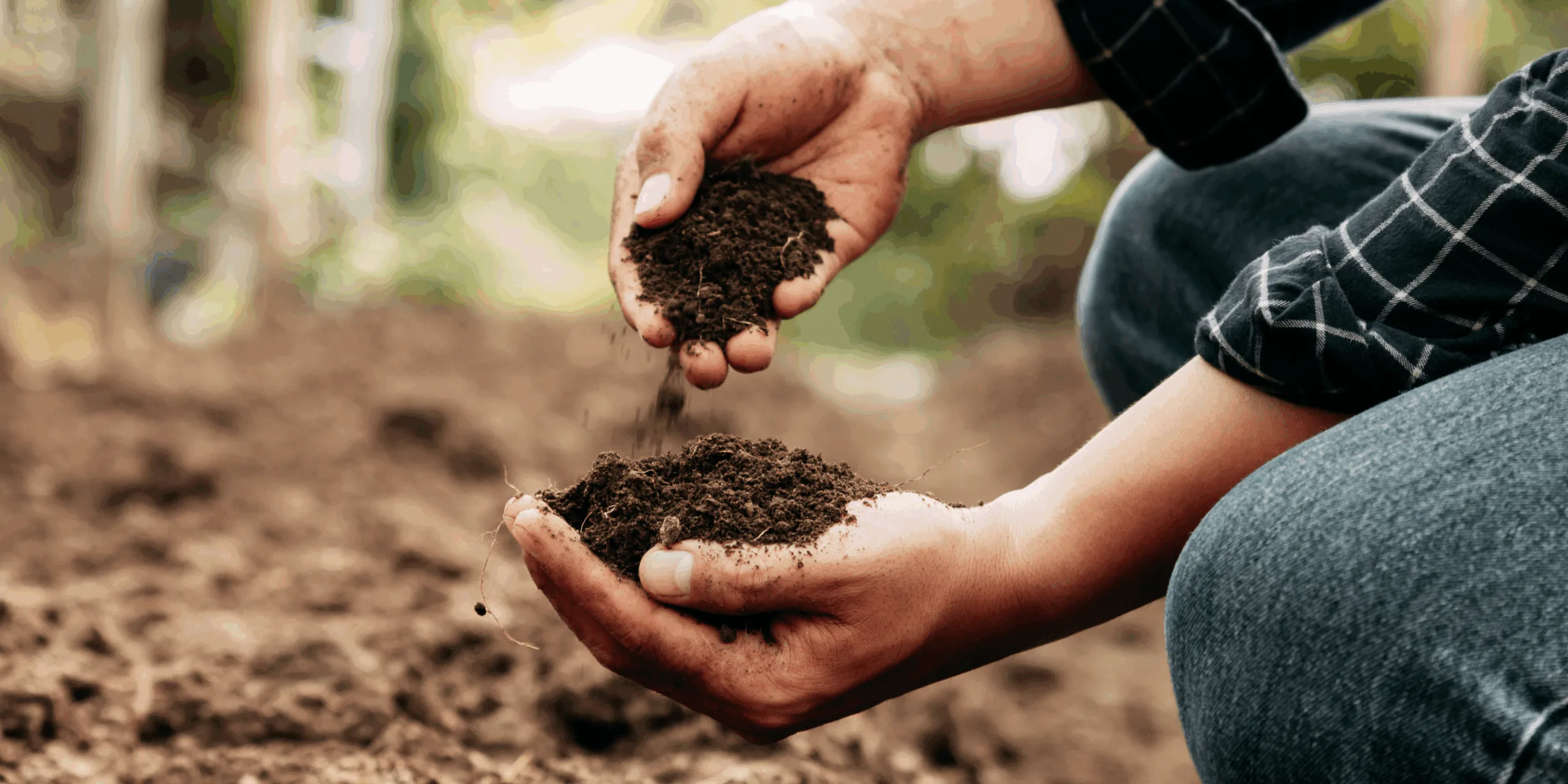 an image showing someone holding soil