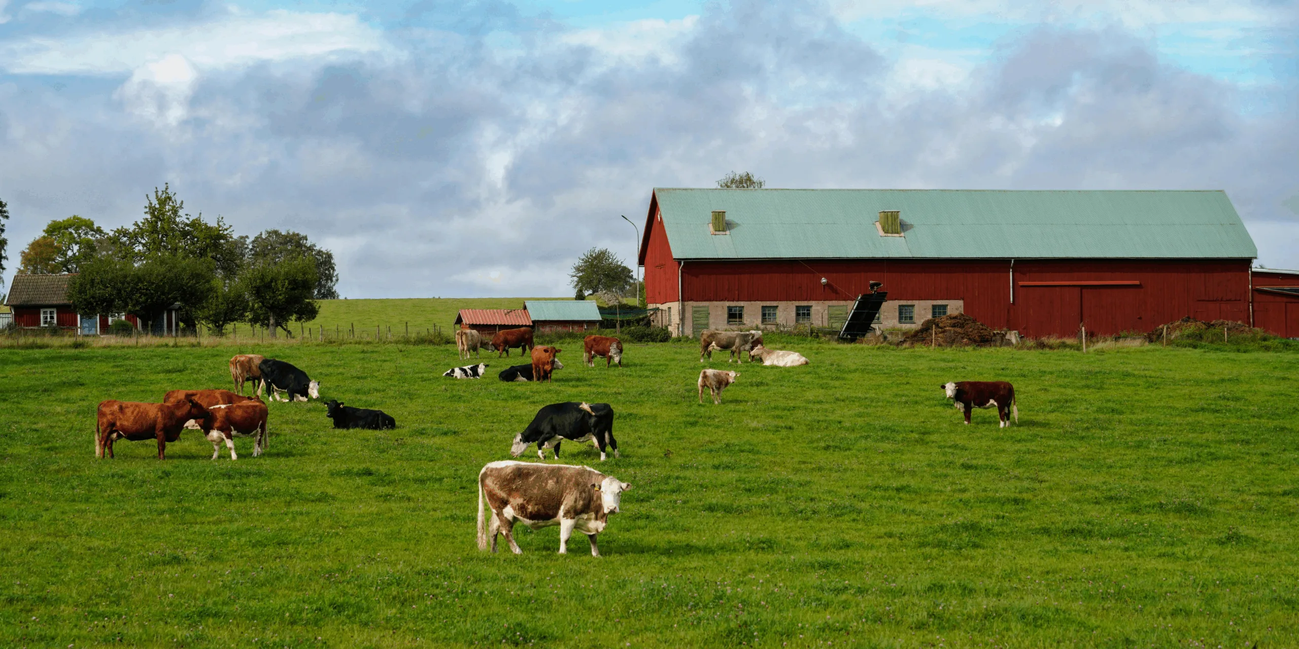 an image showing a farm