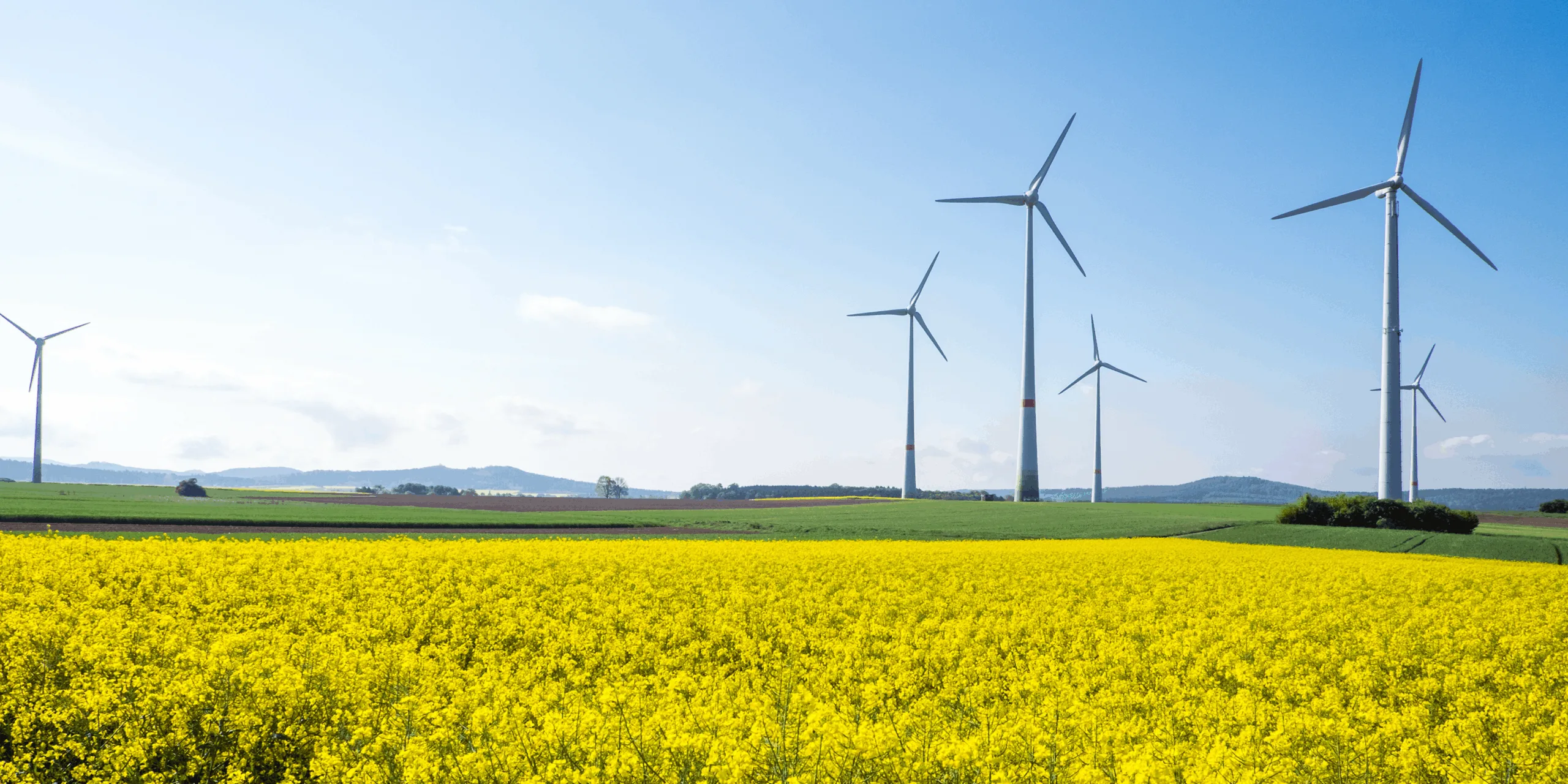 an image to represent environmental responsibility