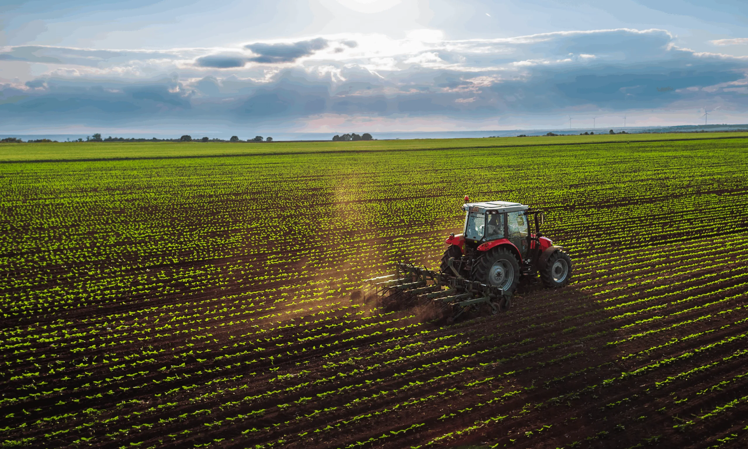 an image to show agricultural lime being spread
