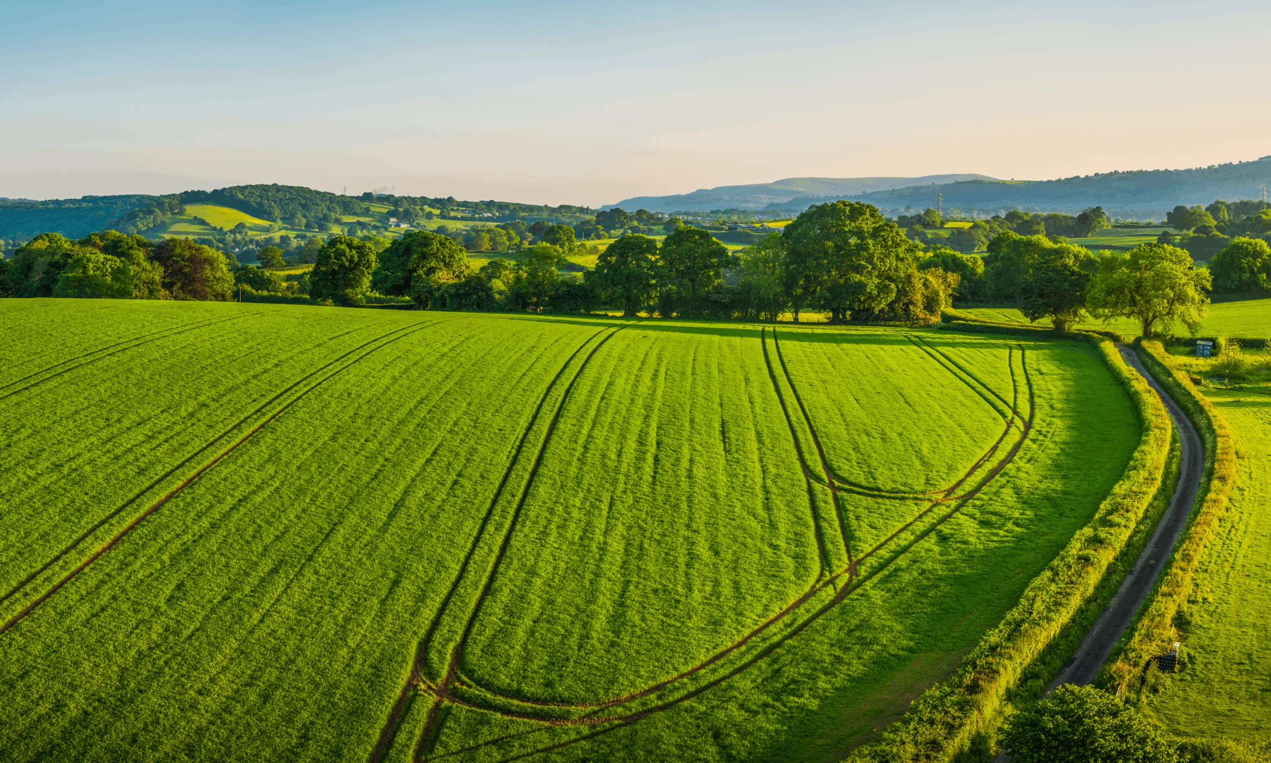 an image showing agriculture