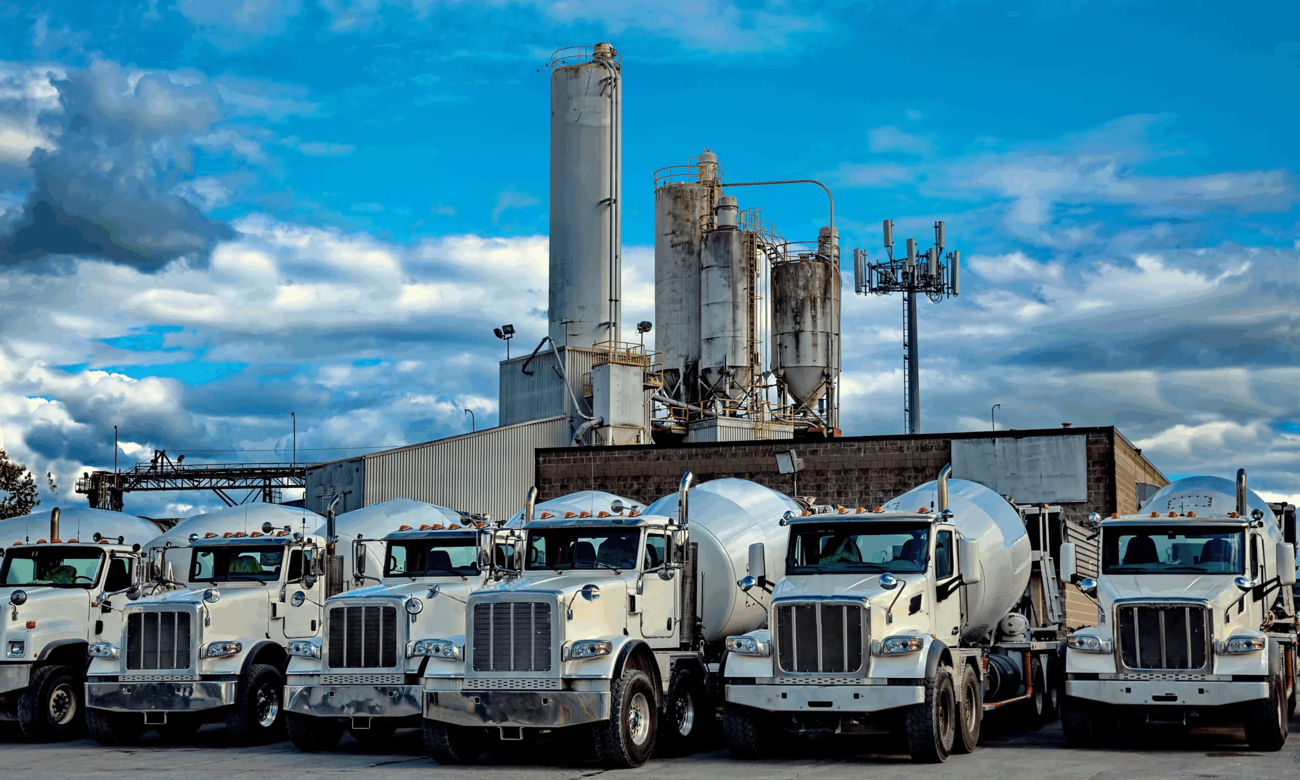 an image to show a plant and how concrete is made