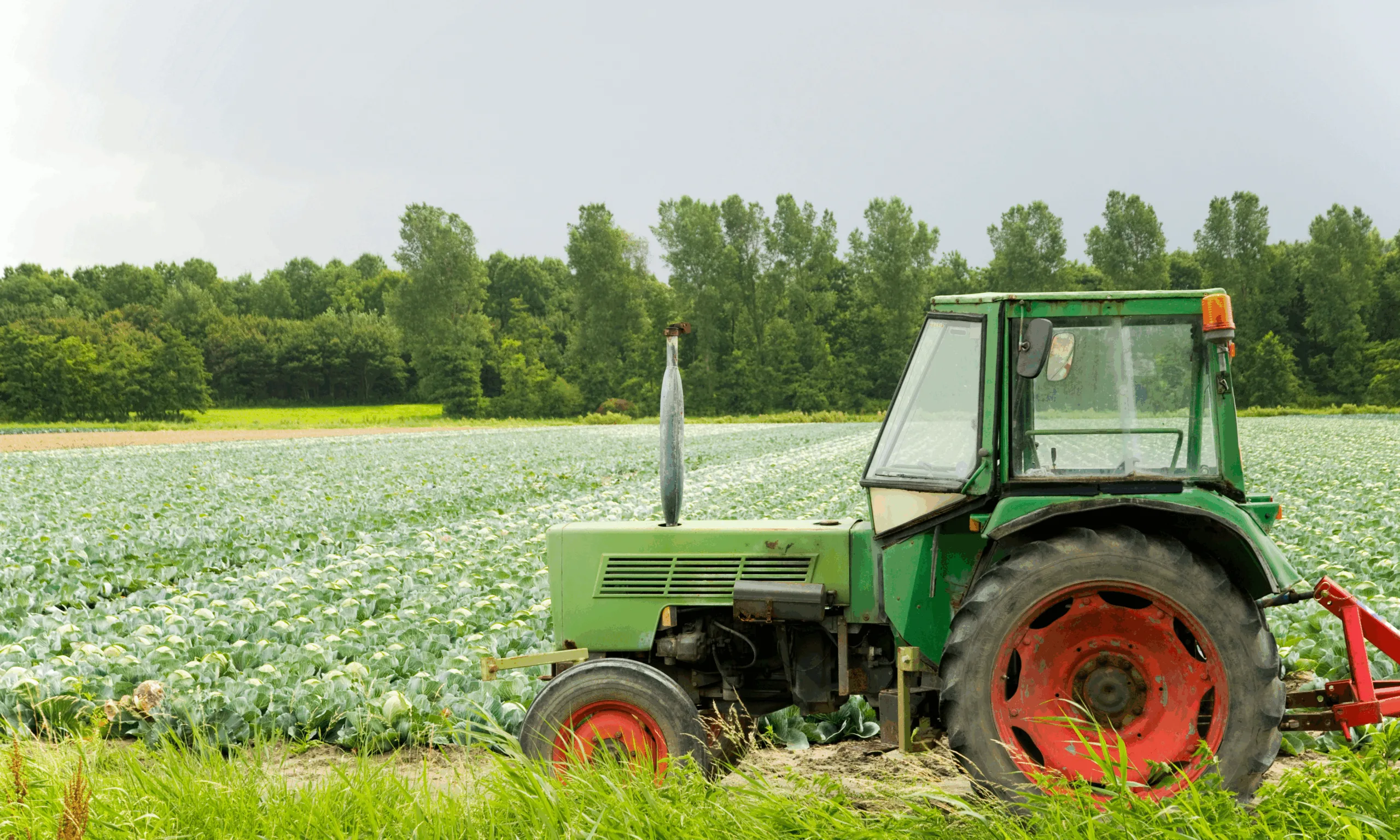 an image to show fertiliser being spread to resolving sulphur deficiency
