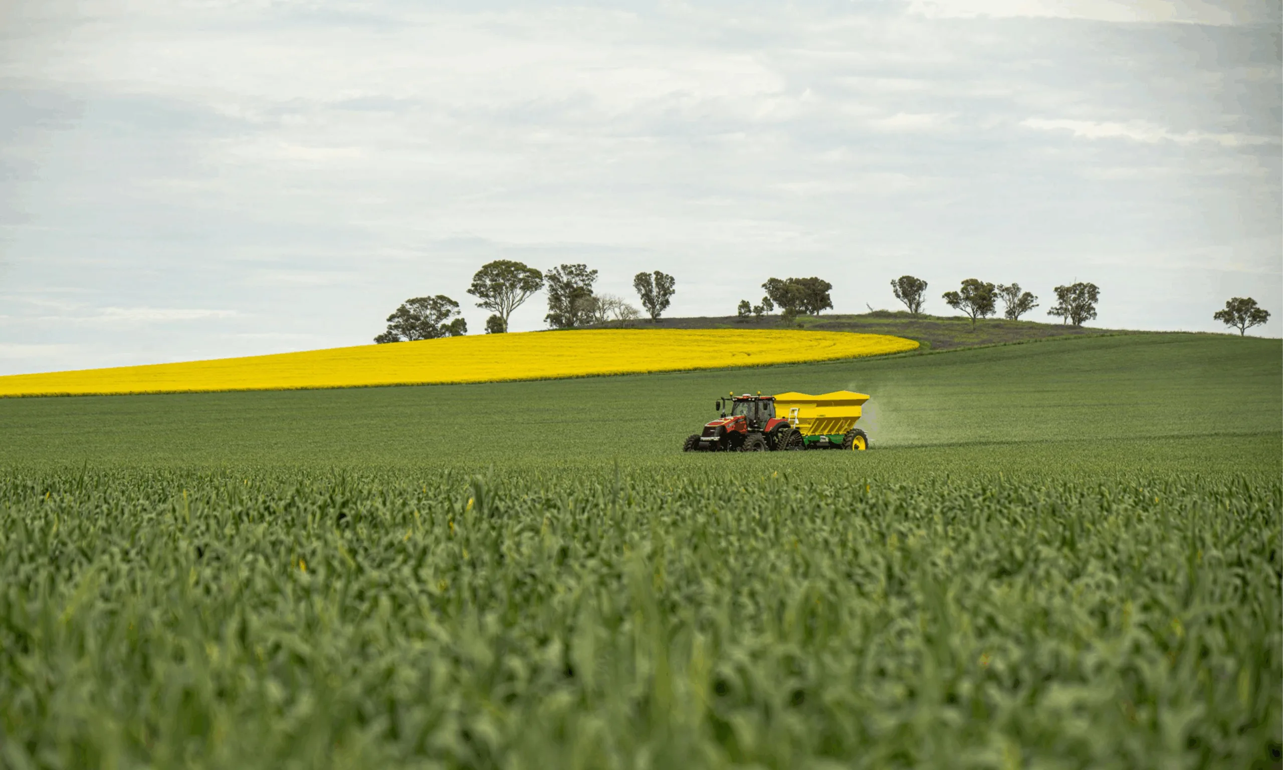 a tractor spreading calcifert to solve nutrient efficiency