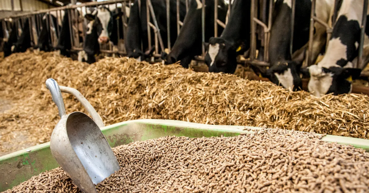 an image showing animal feed and bedding
