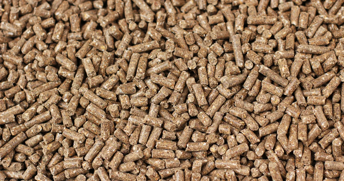 an image showing feed